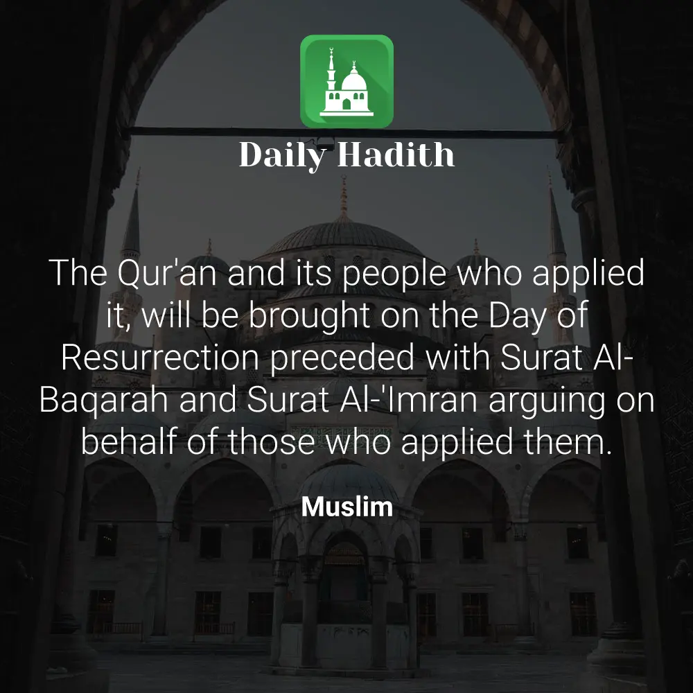 Daily Hadith