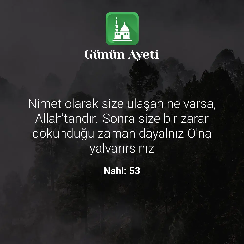 Günün Ayeti
