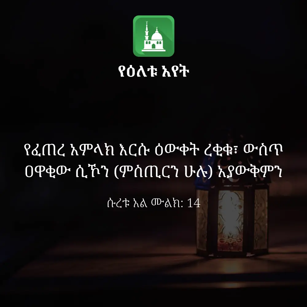 ዕለታዊ አያት