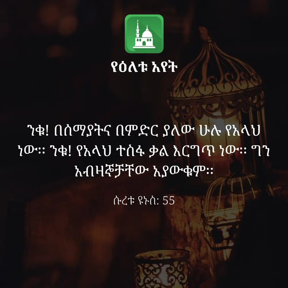 ዕለታዊ አያት