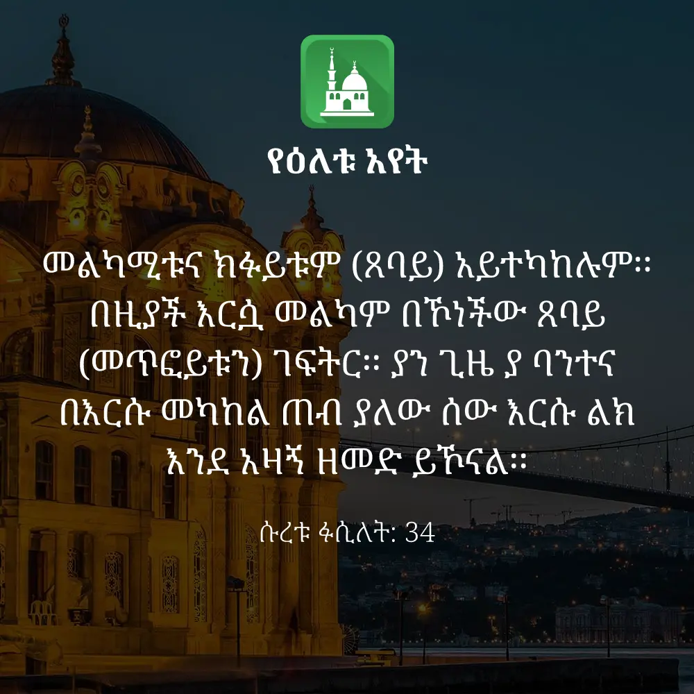 ዕለታዊ አያት