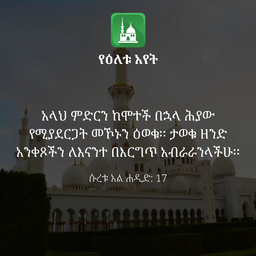 ዕለታዊ አያት