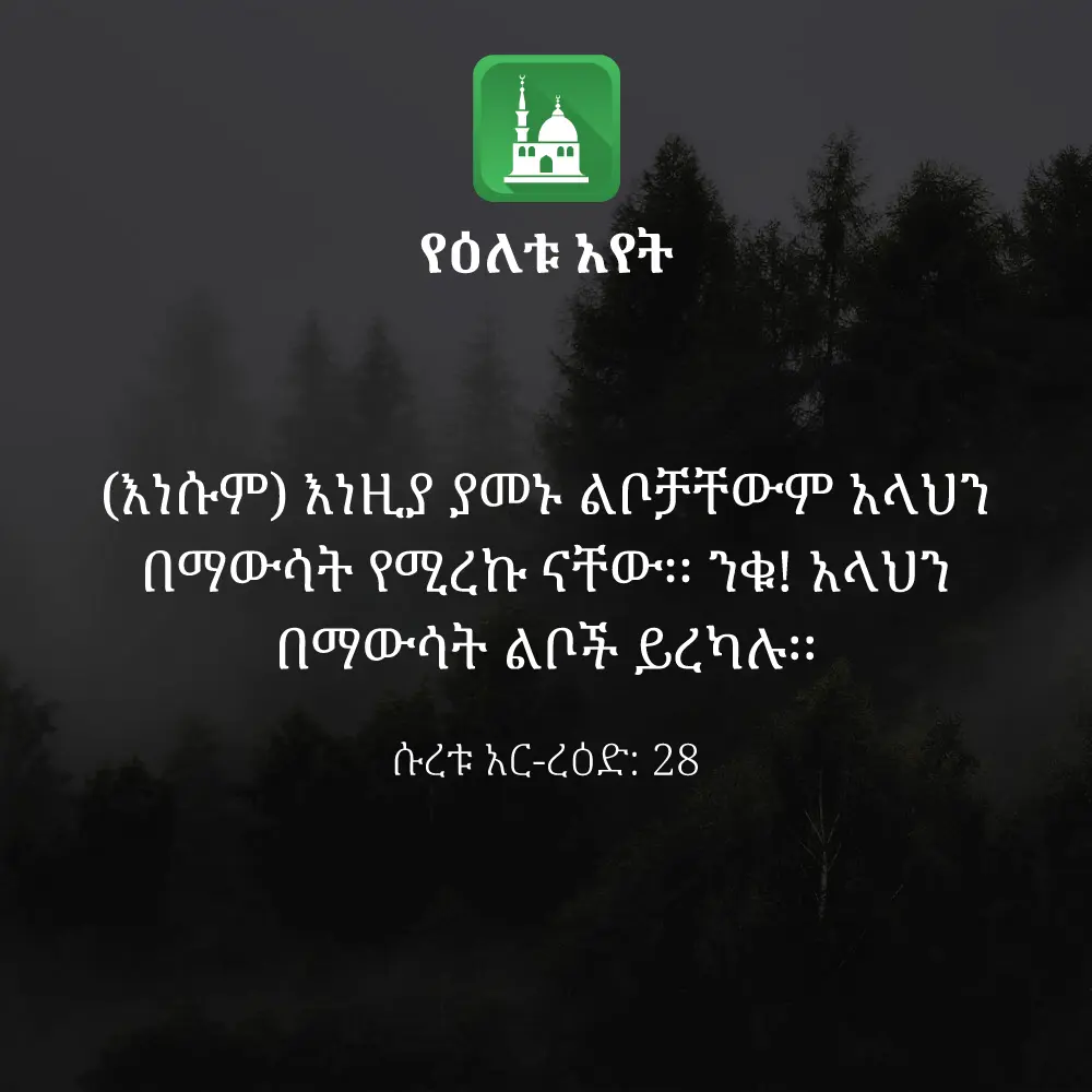 ዕለታዊ አያት