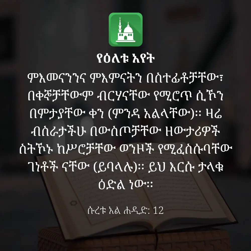 ዕለታዊ አያት