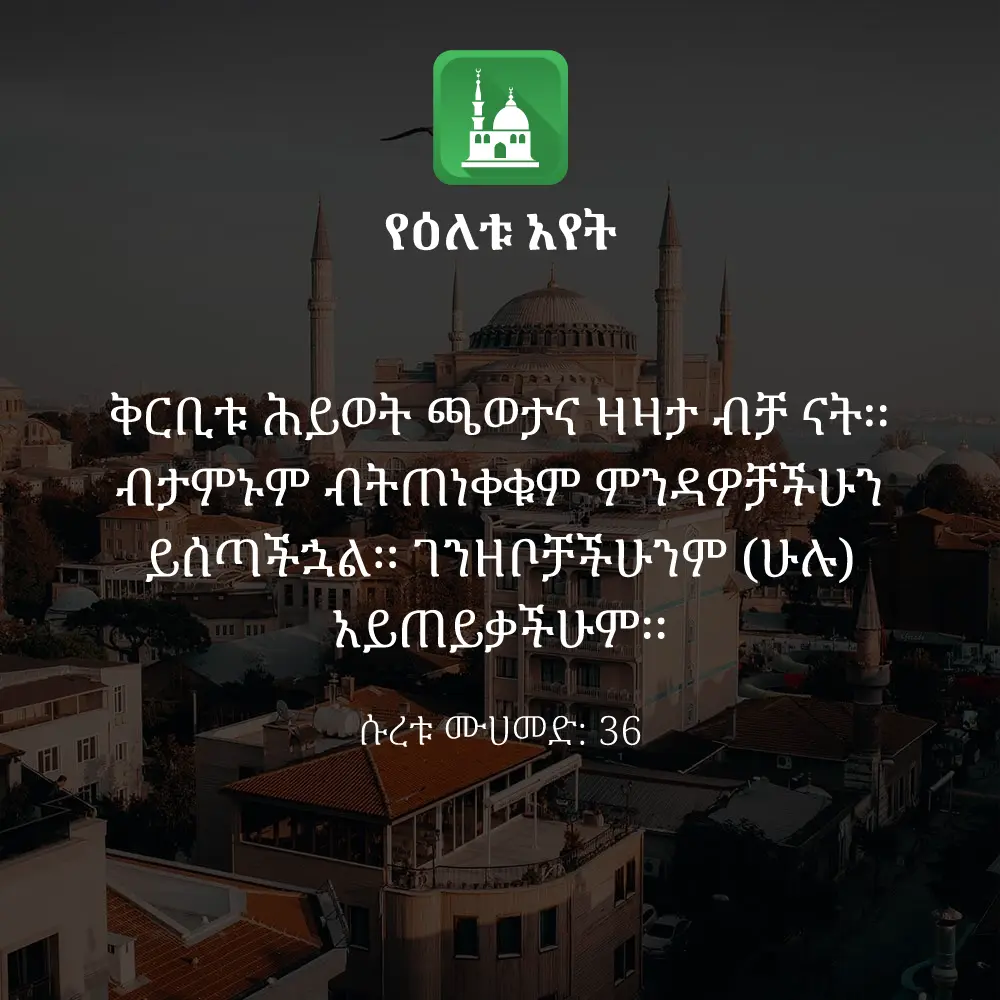 ዕለታዊ አያት