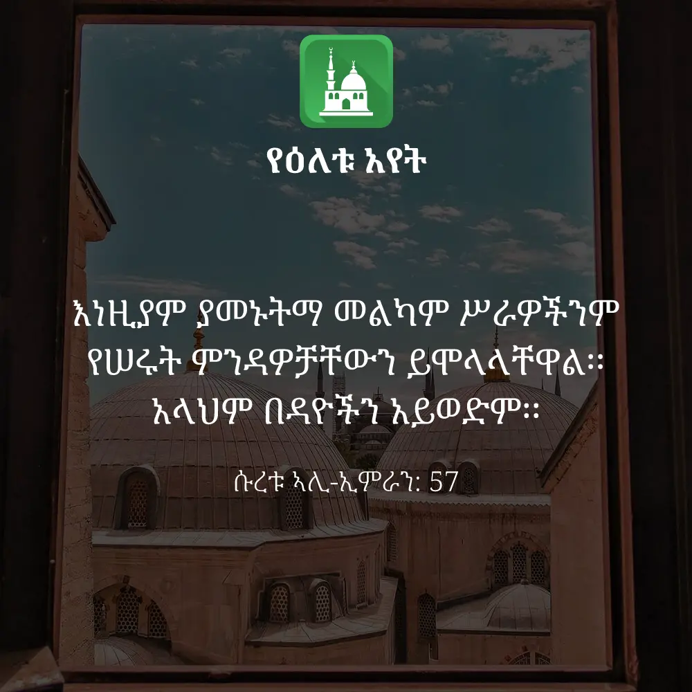 ዕለታዊ አያት