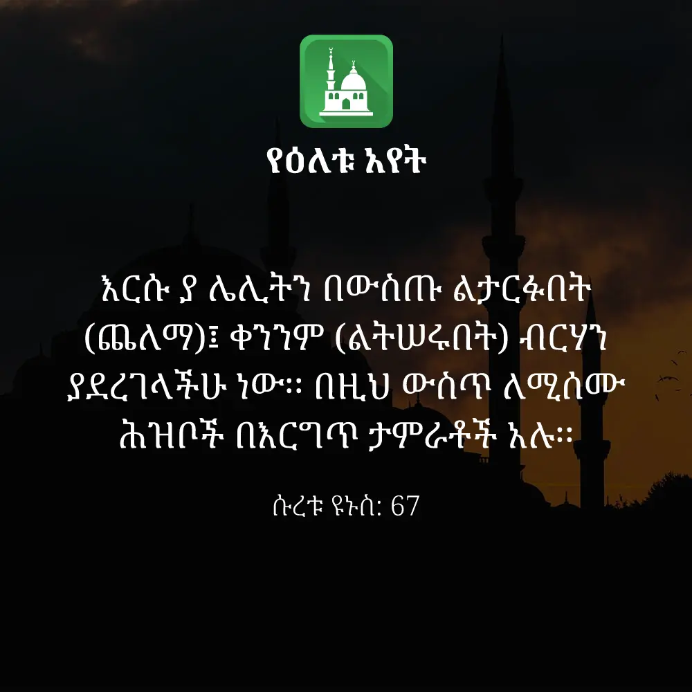 ዕለታዊ አያት