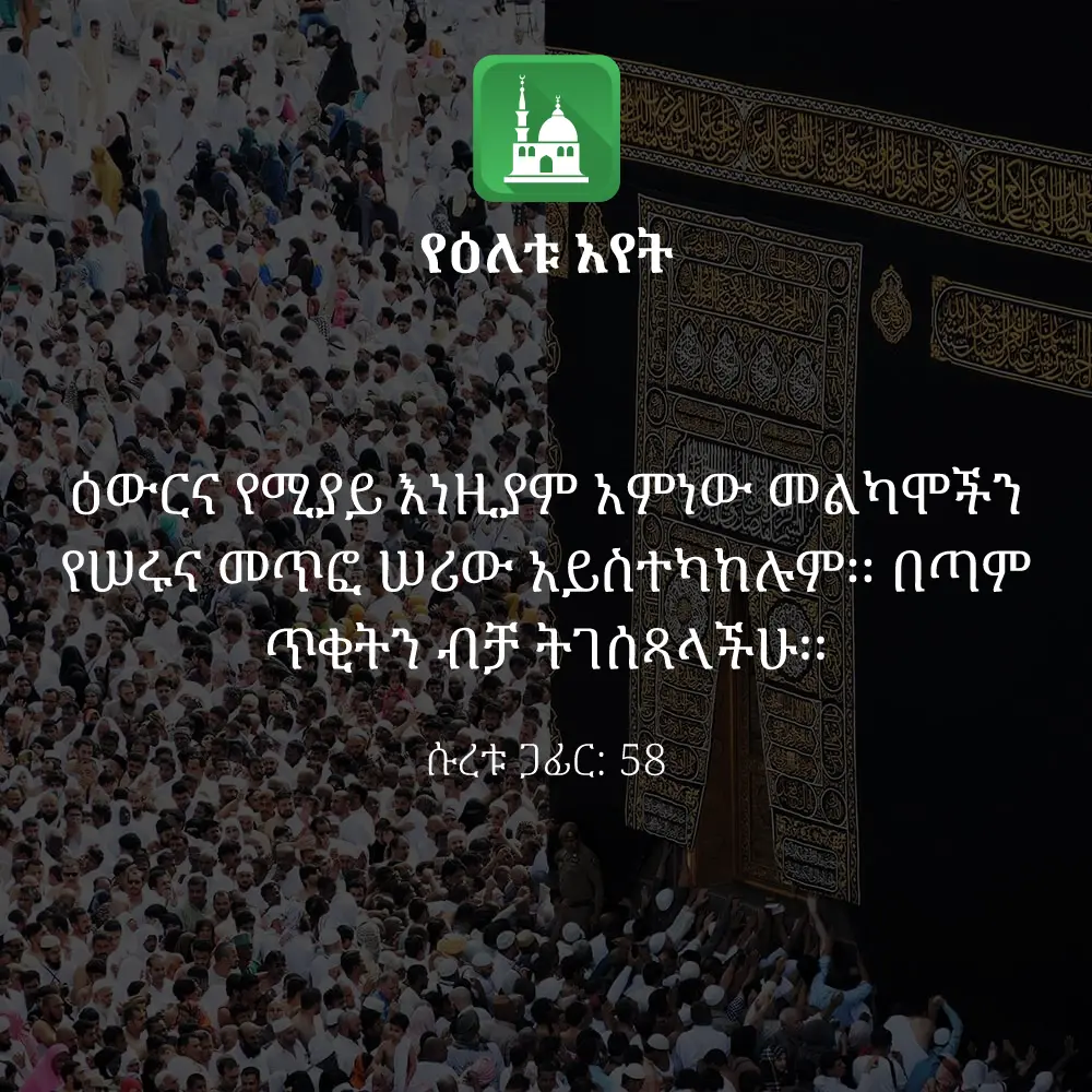 ዕለታዊ አያት