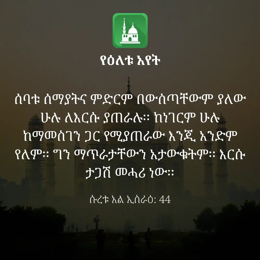 ዕለታዊ አያት