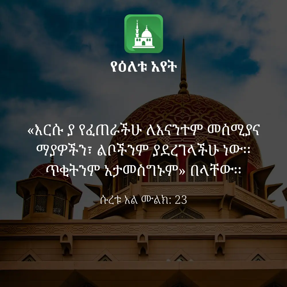 ዕለታዊ አያት