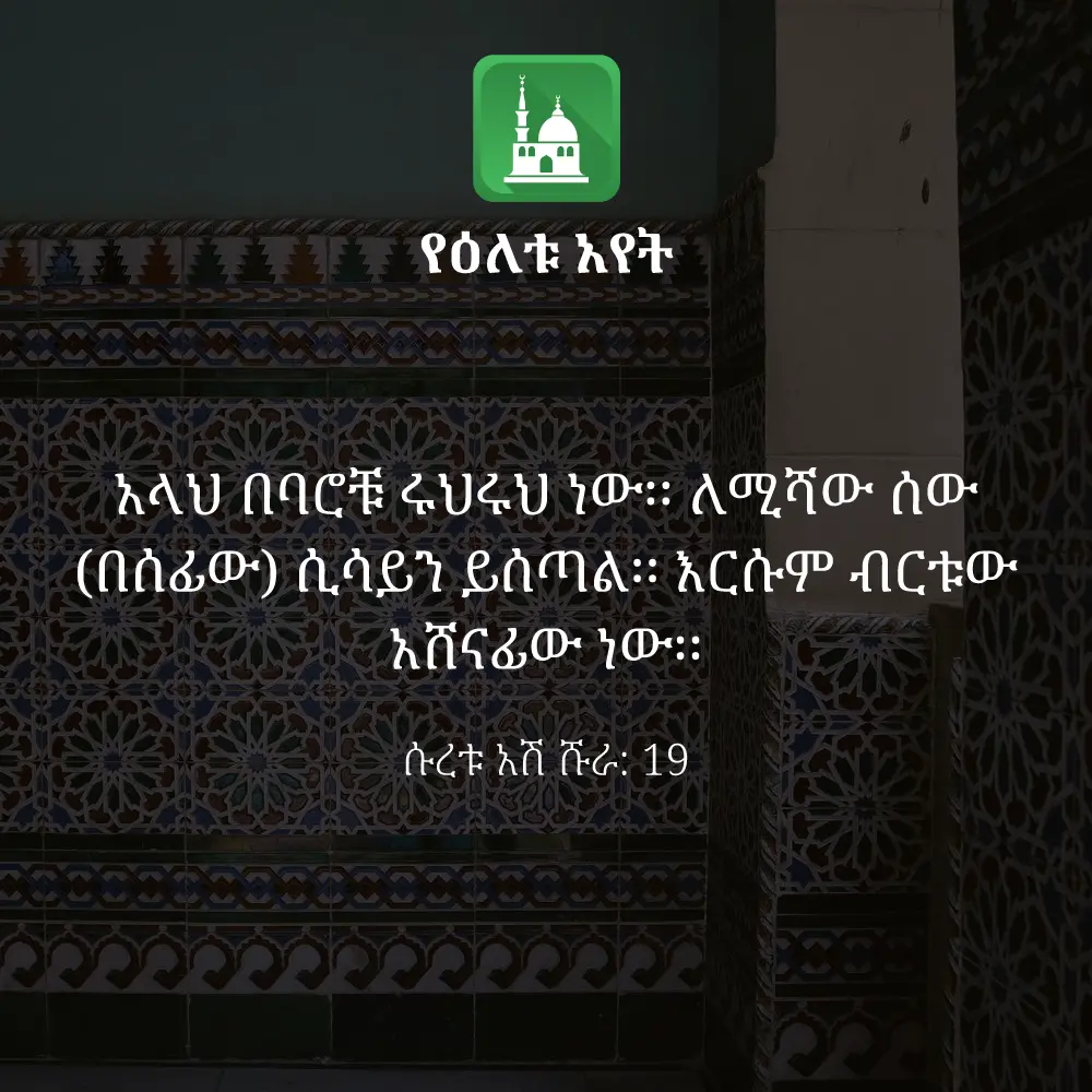 ዕለታዊ አያት