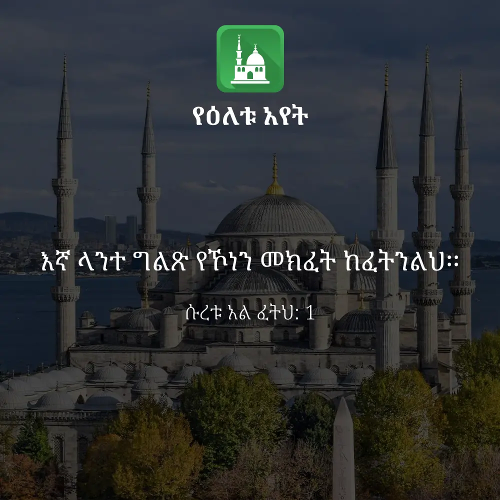 ዕለታዊ አያት