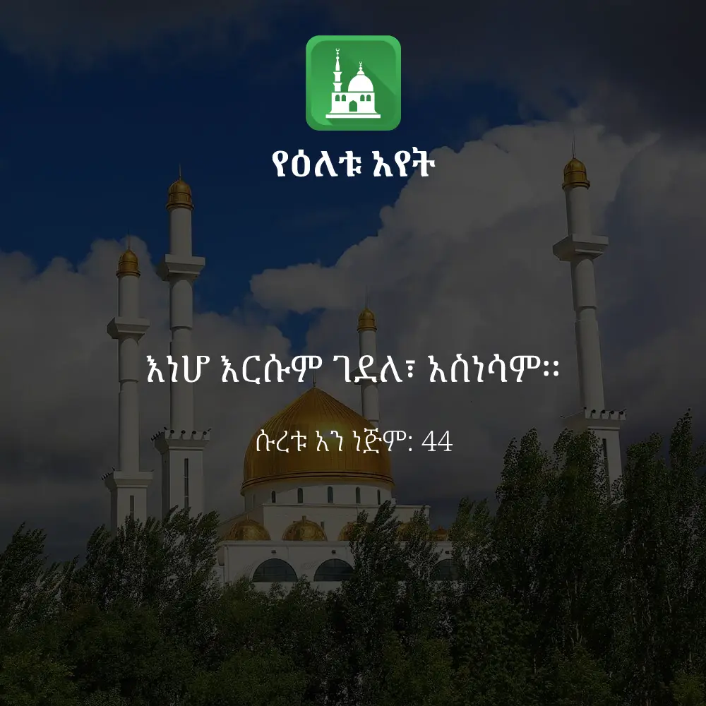 ዕለታዊ አያት