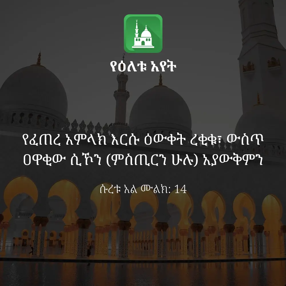 ዕለታዊ አያት