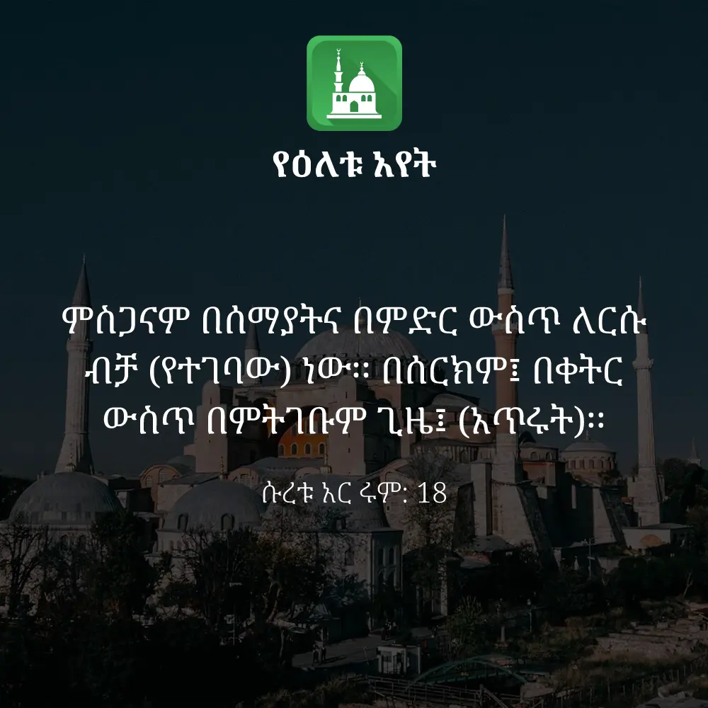ዕለታዊ አያት