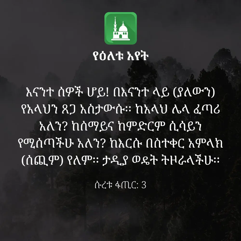ዕለታዊ አያት