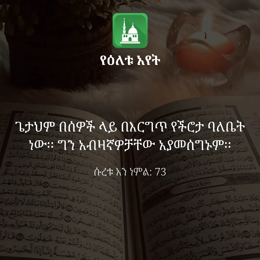 ዕለታዊ አያት