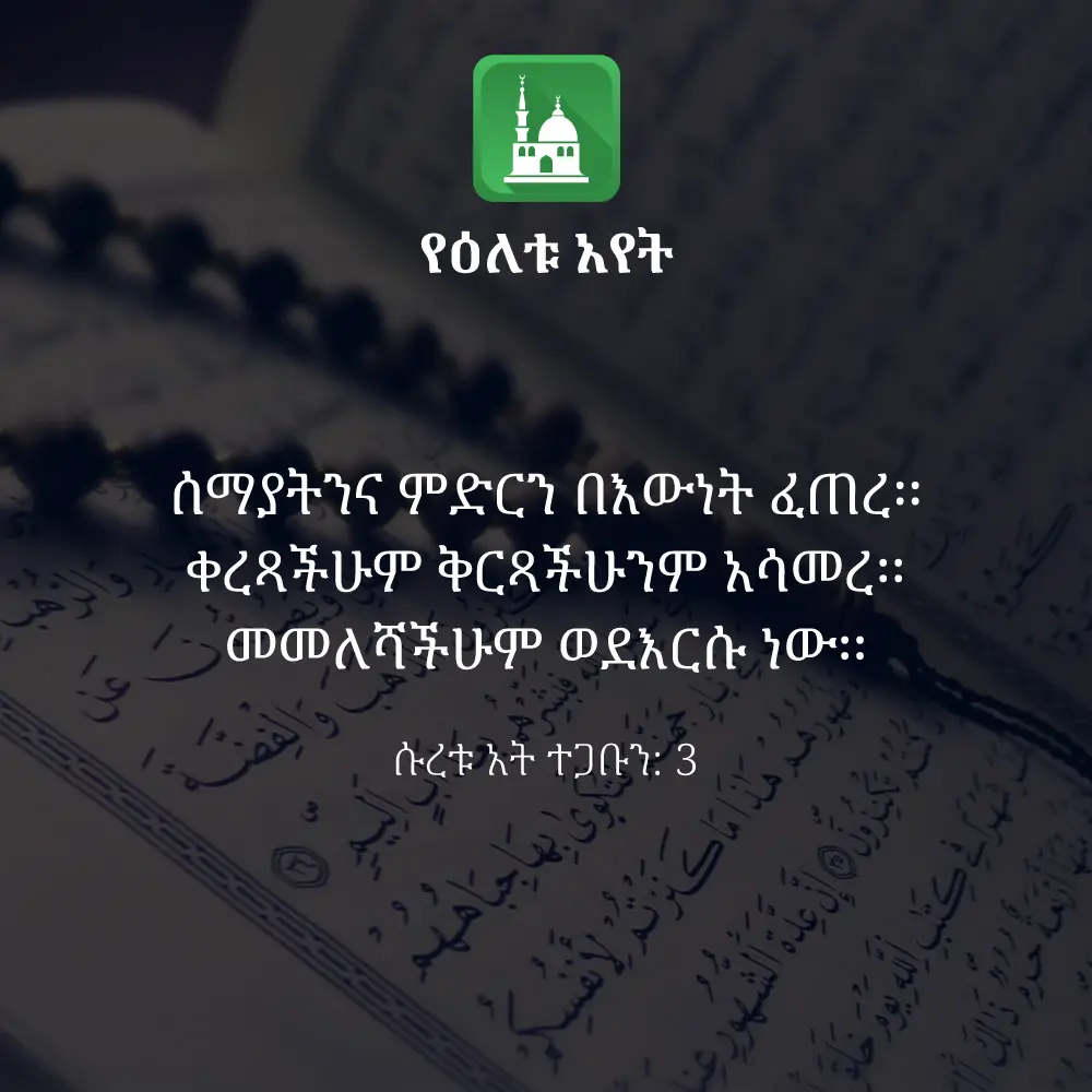 ዕለታዊ አያት