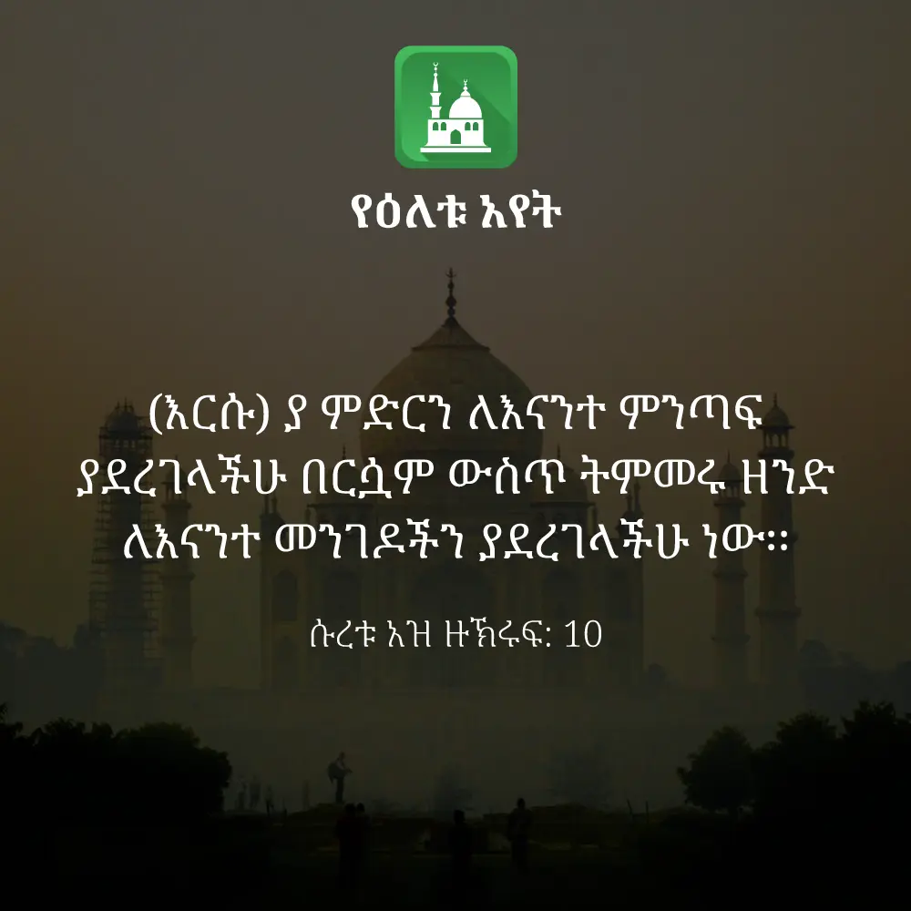 ዕለታዊ አያት