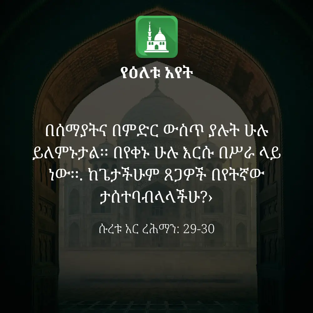 ዕለታዊ አያት