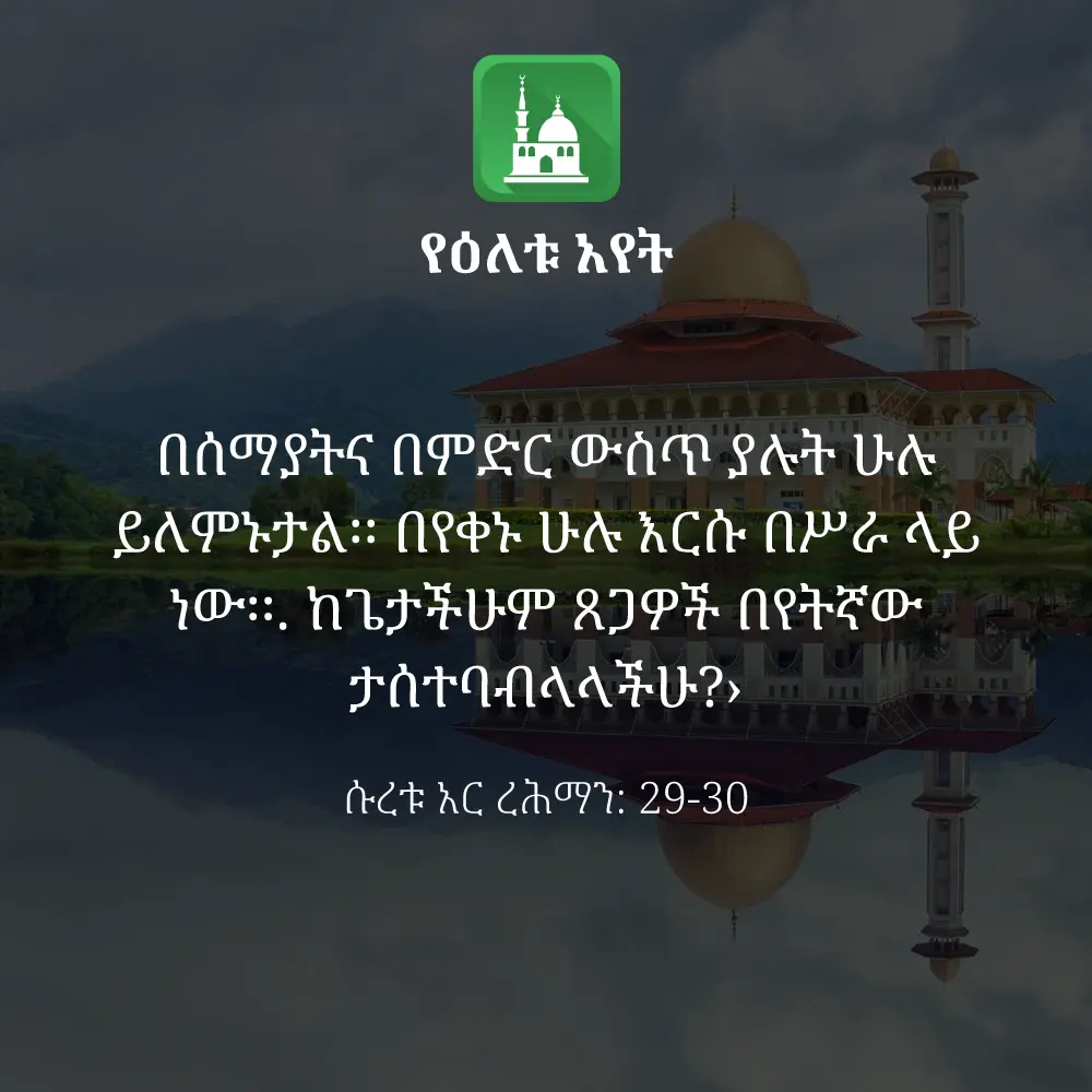 ዕለታዊ አያት