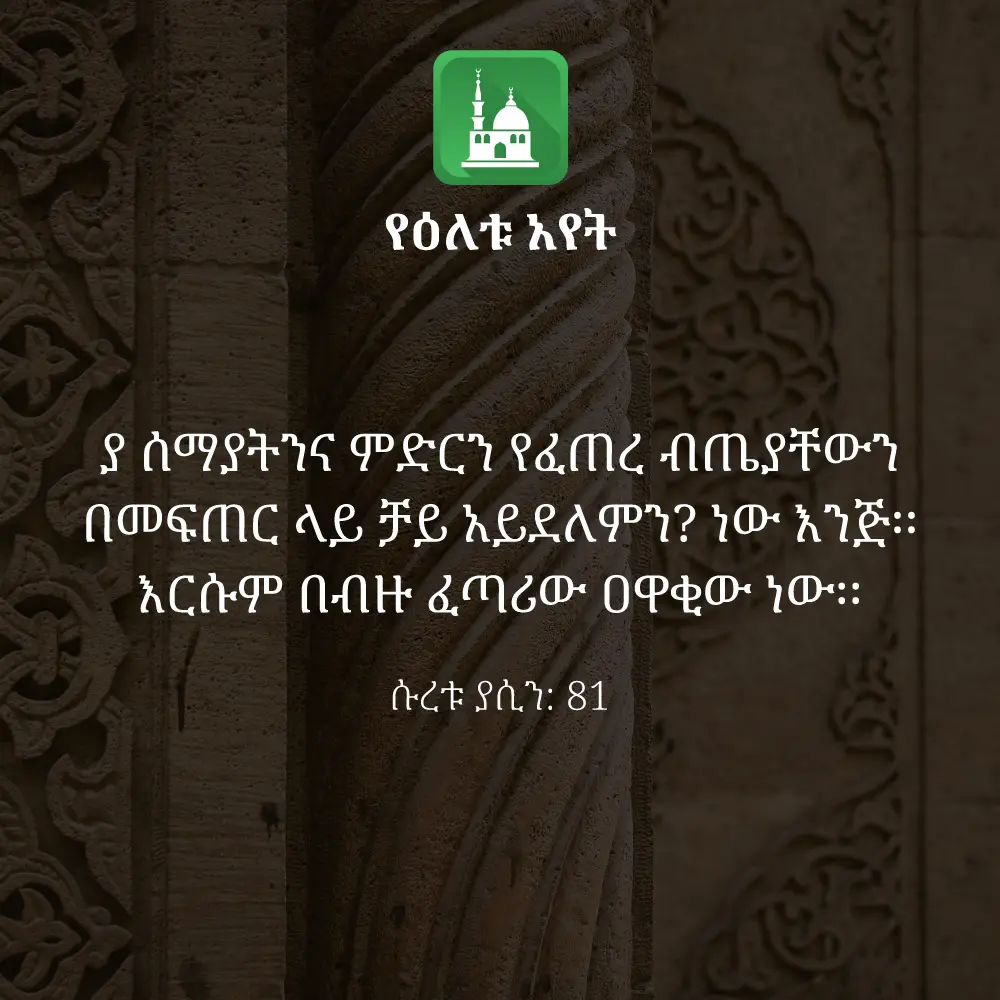 ዕለታዊ አያት
