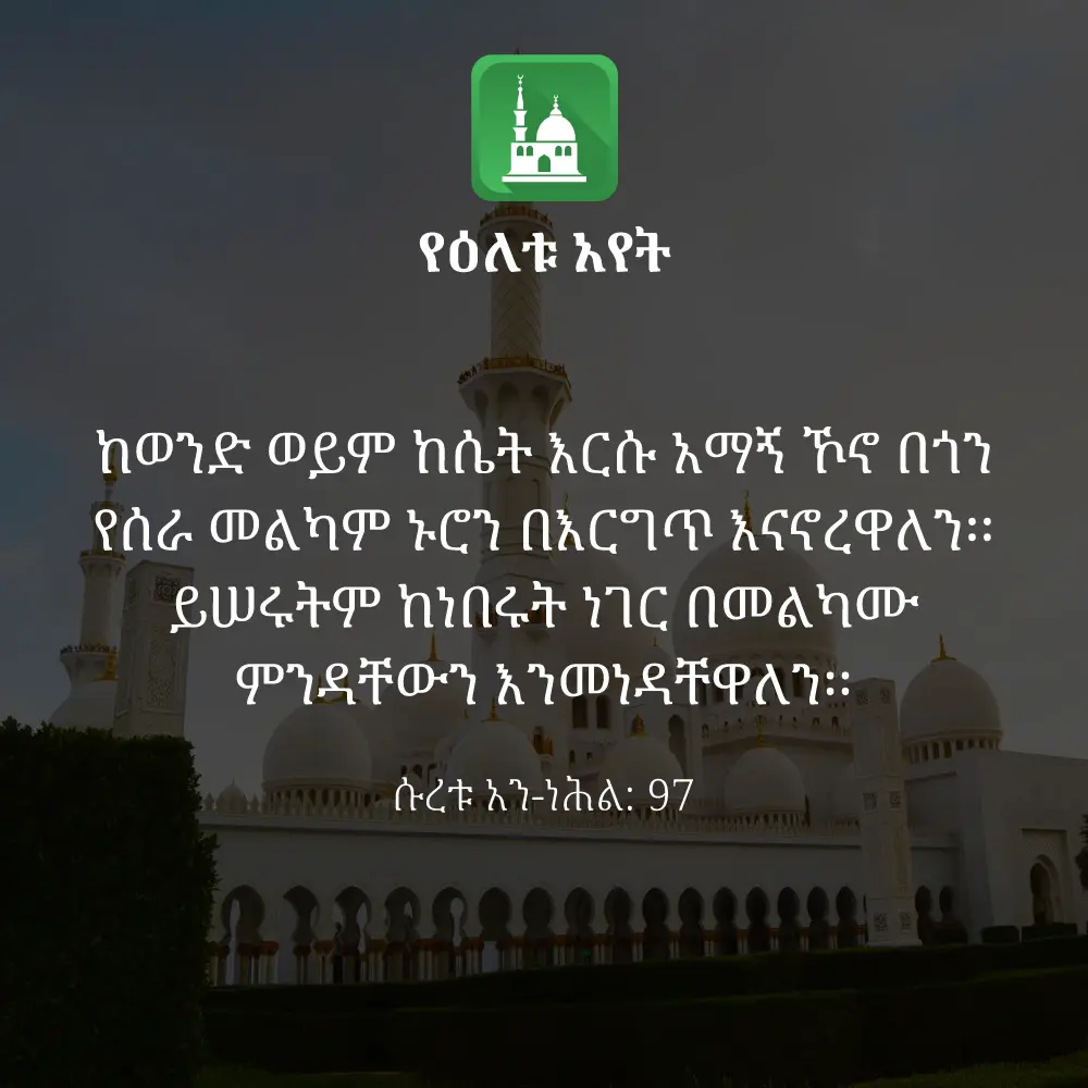 ዕለታዊ አያት