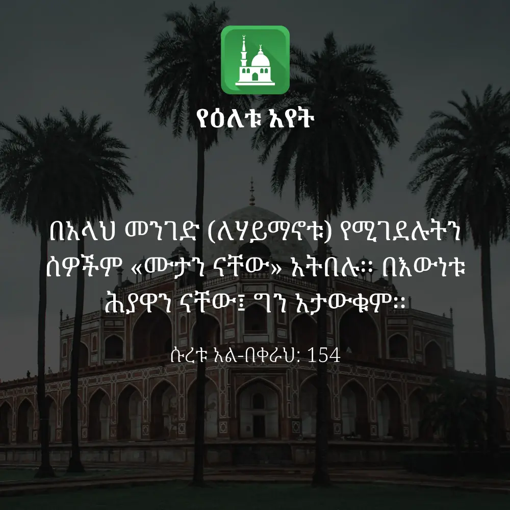 ዕለታዊ አያት