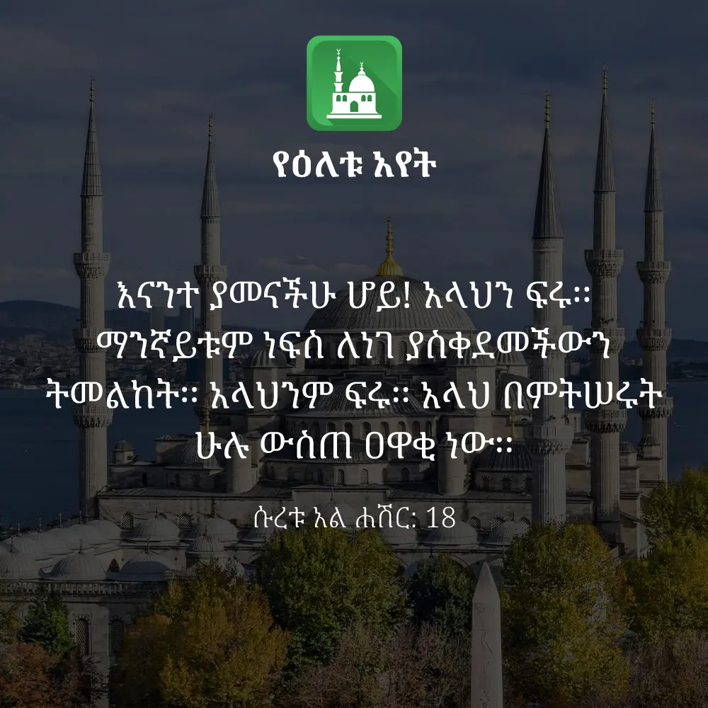 ዕለታዊ አያት