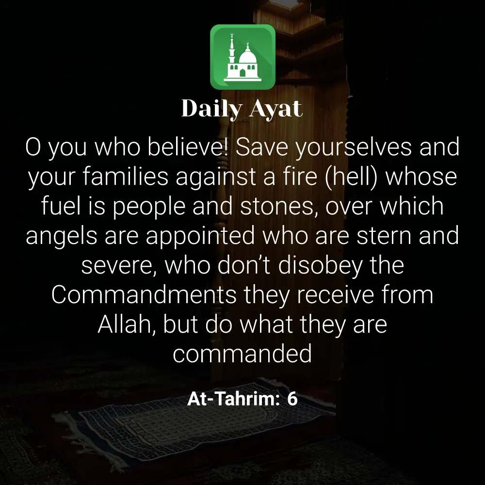 Daily Ayat