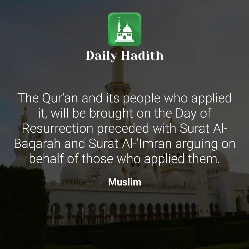 Daily Hadith