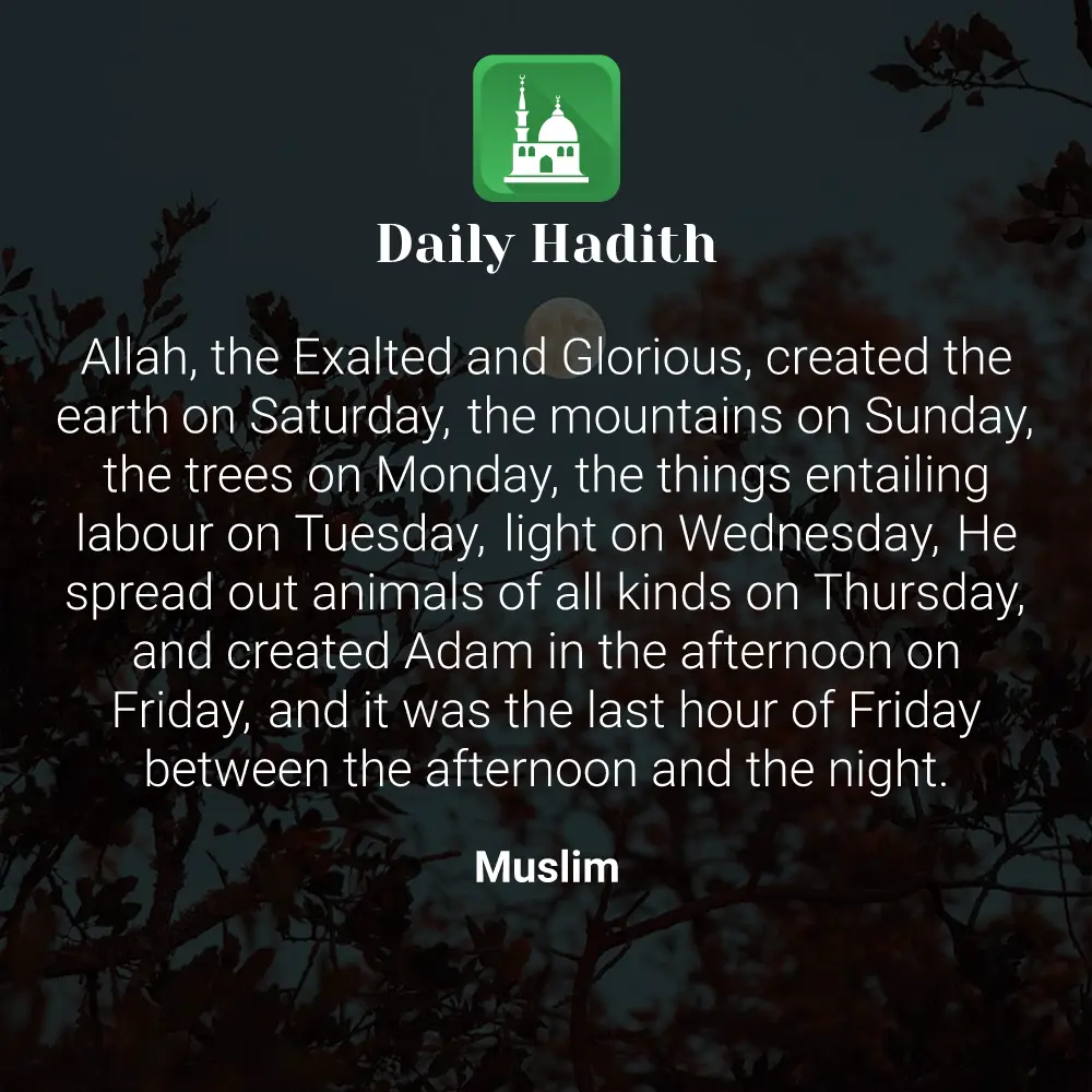 Daily Hadith