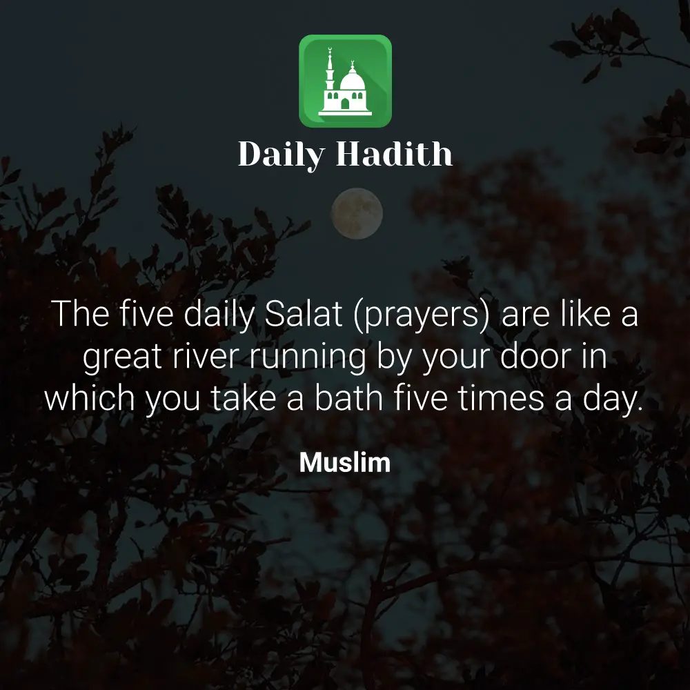 Daily Hadith