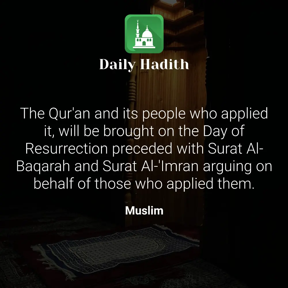 Daily Hadith