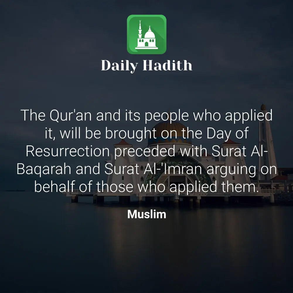 Daily Hadith