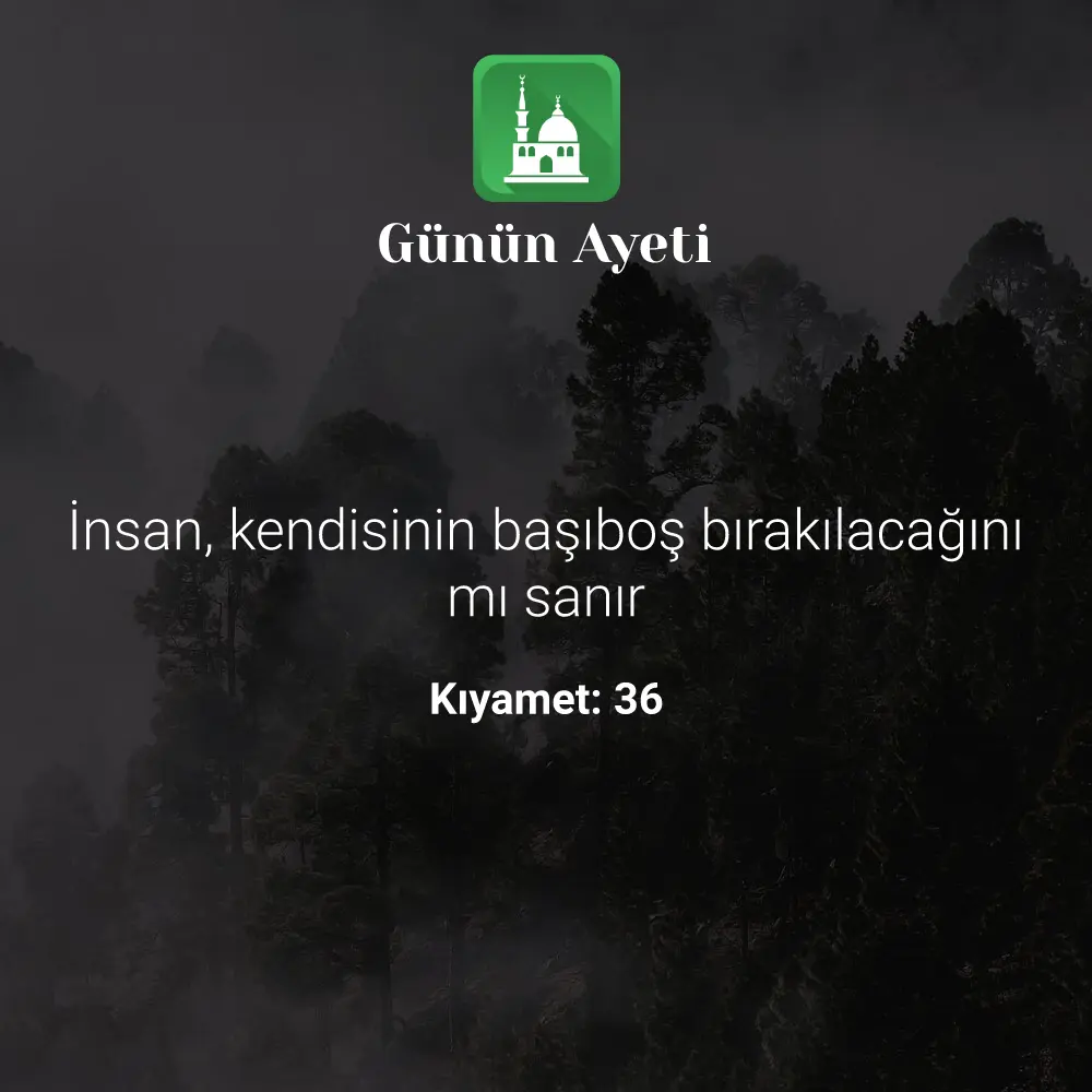 Günün Ayeti