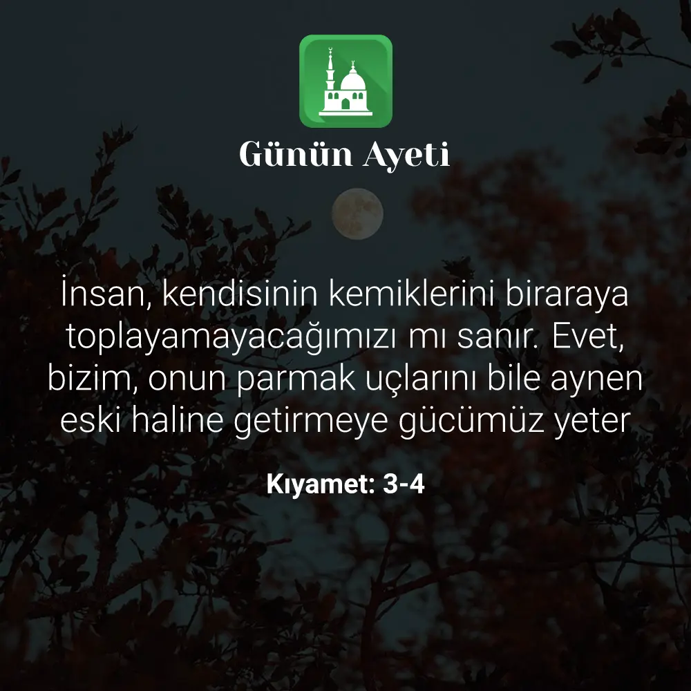 Günün Ayeti